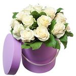 КОМПОЗИЦІЇ