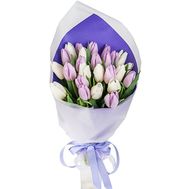 25 білих і бузкових тюльпанів