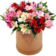 Альстромерии в коробці