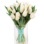 Букет з 25 білих тюльпанів