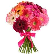 Букет з різнокольорових гербер