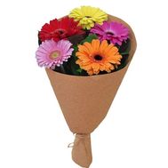 Маленький букет гербер в Крафт