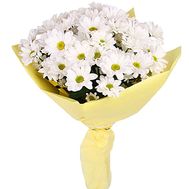 Маленький букет ромашок