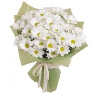 Невеликий букет ромашок