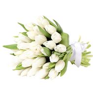 Чудовий букет білих тюльпанів