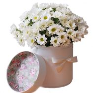 Ромашки в коробці