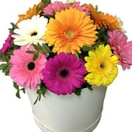 Яскрава коробка з гербер