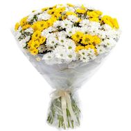 Букет квітів - Променистий