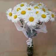Букет садових ромашок