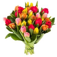 Букет тюльпанів - Катюша