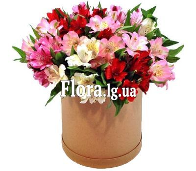 Альстромерии в коробці