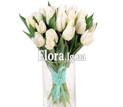 Букет з 25 білих тюльпанів