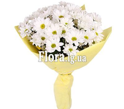 Маленький букет ромашок