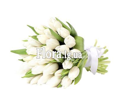 Чудовий букет білих тюльпанів