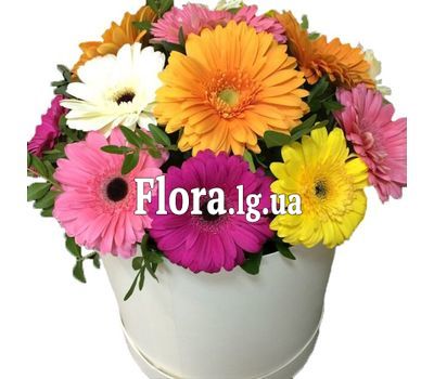 Яскрава коробка з гербер