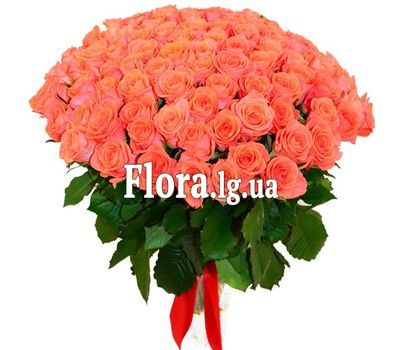 101 помаранчева троянда