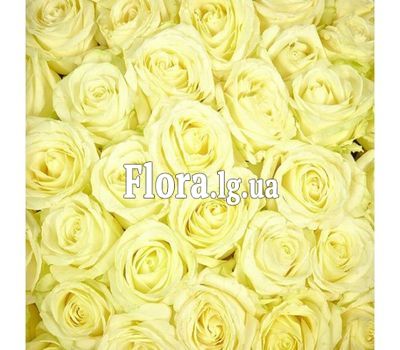 Білі троянди поштучно