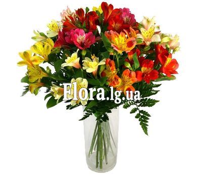 Букет квітів - Марцеліна