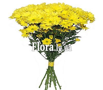 Букет квітів - Вересень