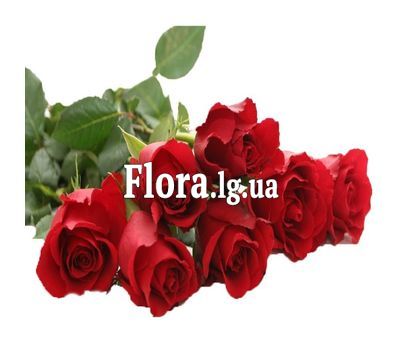 Букет імпортних троянд - Сяйво зірки