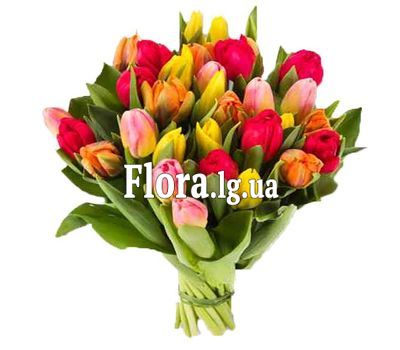 Букет тюльпанів - Катюша