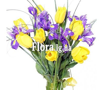 Букет тюльпанів - Фарби літа