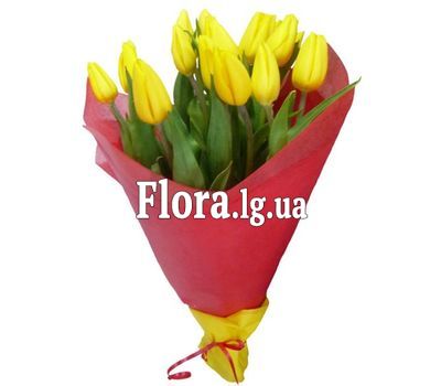 Букет тюльпанів - Маша
