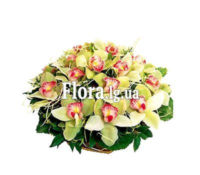 Квіткова кошик - Бренда