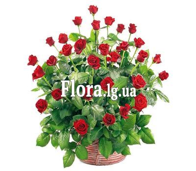 Квіткова кошик - Пропозиція