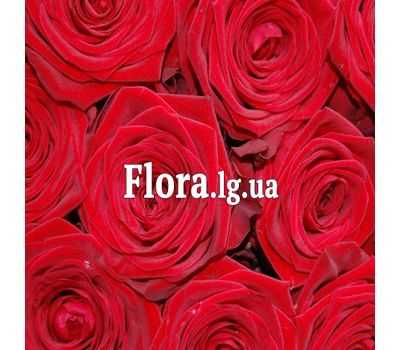 Червоні троянди поштучно