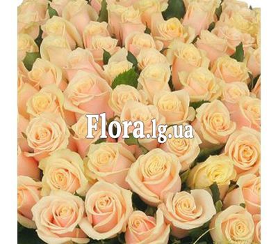 Кремові троянди поштучно