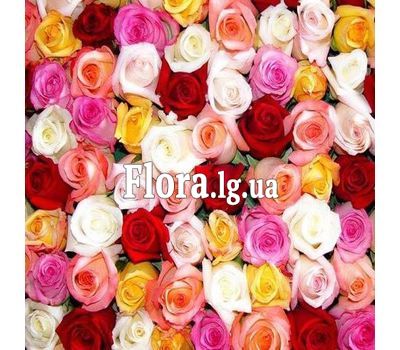 Різнокольорові троянди поштучно